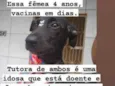 Pretinha