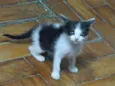 Nina Fredy Enzo Lore