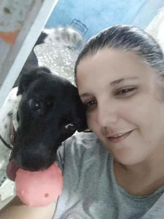 Cachorro ra a Labrador idade 2 anos nome Bolinha