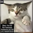 EVA