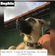 SOPHIA