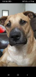 KIARA