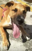 KIARA