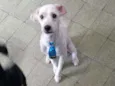 Bob