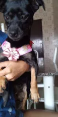 Tina