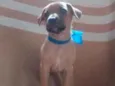 Não tem