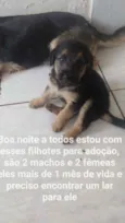 Sem nome 