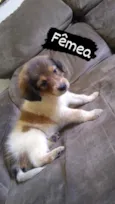 Lindinha