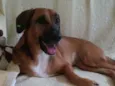 Lola