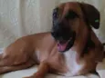 Lola