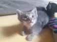 Miguel