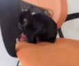 Nala