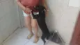 Cachorro raça SRD-ViraLata idade 2 a 6 meses nome BRUNO