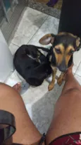 Mel/bolinha e pipoca