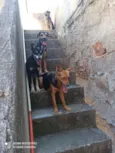 Mel/bolinha e pipoca