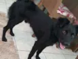 Duke