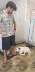 Cachorro raça provavel vira lata idade 2 anos nome Smoke