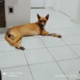 Lola