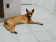 Lola
