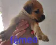sem nome