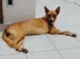 Lola