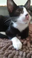 Anita