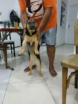 Bimha
