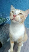 Loirinho