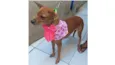 Lucila