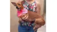 Lucila