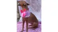 Lucila