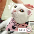 Luna Bella
