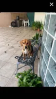 Nina