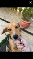 Nina