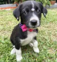 MAITÊ