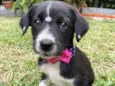MAITÊ