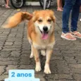 Tito