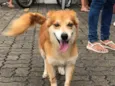 Tito