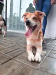 Tito