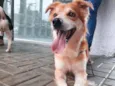 Tito