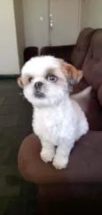 Benjamin
