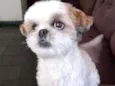 Benjamin