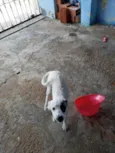 Nina
