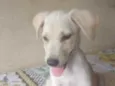 Cristina 