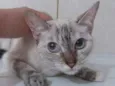 Lili