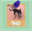 Theo