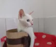 Nina