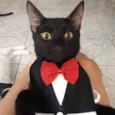 Julinho