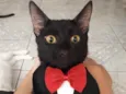 Julinho