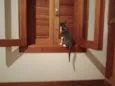 Mini Fada